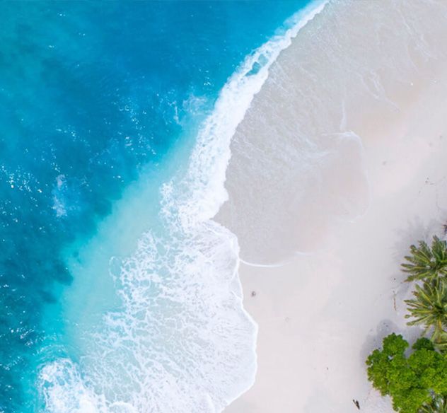 Branded Beach Clubs